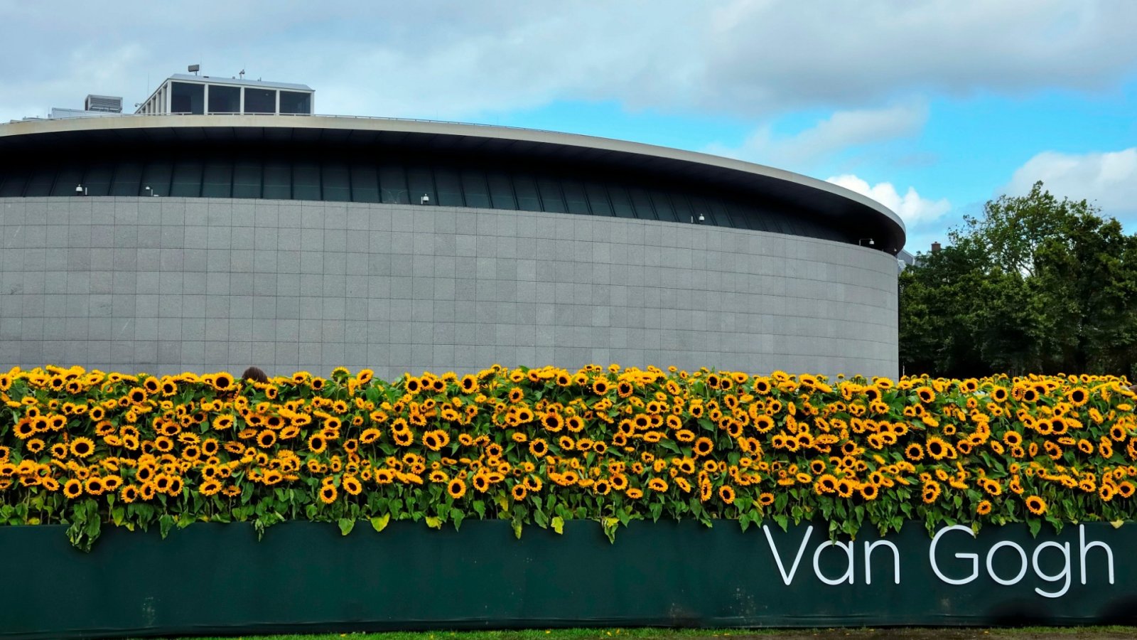 Zonnebloemen en geschiedenis: de door de nazi's gestolen kunst van Van Gogh kan 30 miljoen dollar opbrengen
