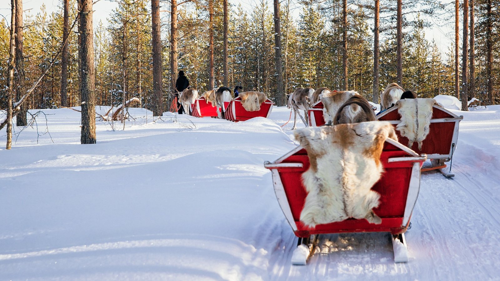 Slitta verso l'allegria natalizia: una guida per famiglie per pianificare un viaggio magico in Lapponia